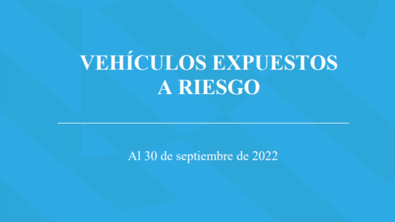 Seguros Rivadavia sigue liderando el ranking con 1.441.087 vehículos.  La siguieron Federación Patronal con 1.426.397 (5,8 %) y Sancor 983.067 (10,5 %)